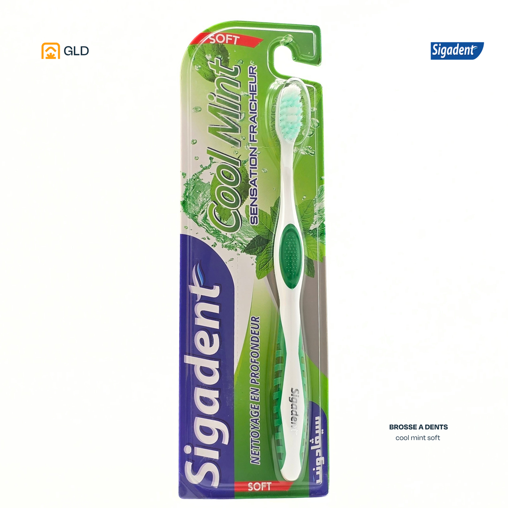 Brosse A Dent Sigadent Cool Mint Soft